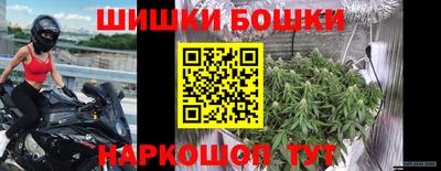 гидра Можга