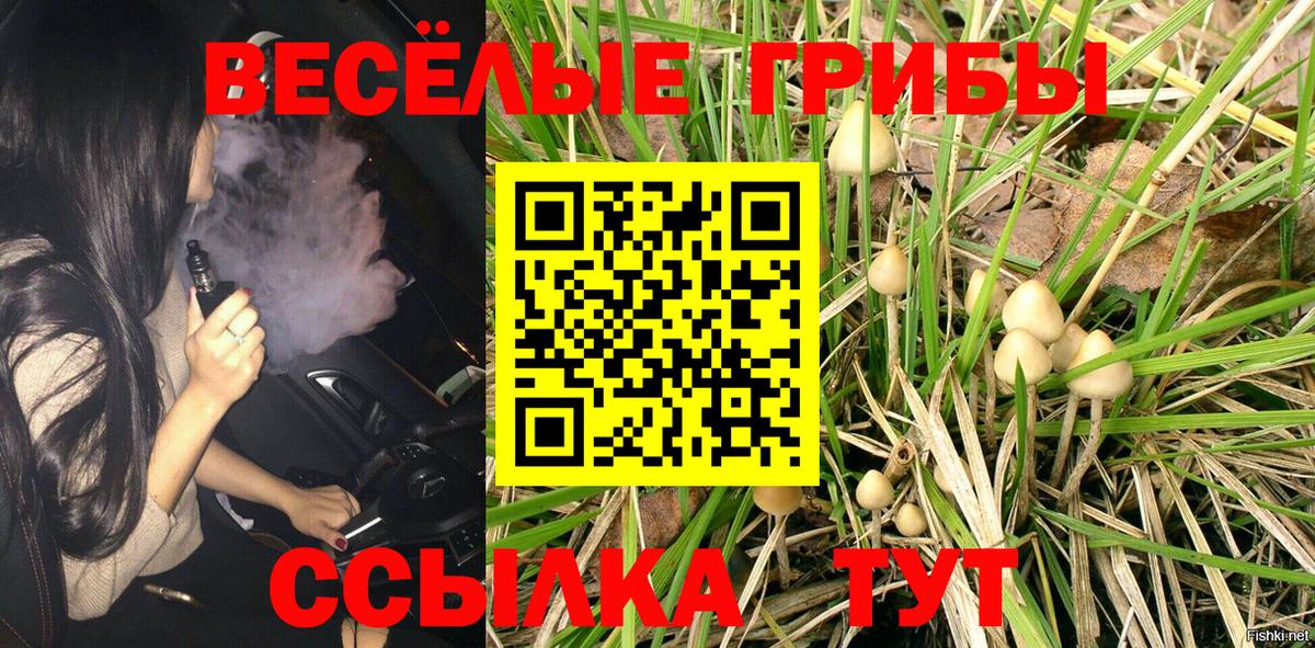 Галлюциногенные грибы мицелий  Вход с VPN  Псилоцибиновые грибы Magic Shrooms  Верхняя Пышма 