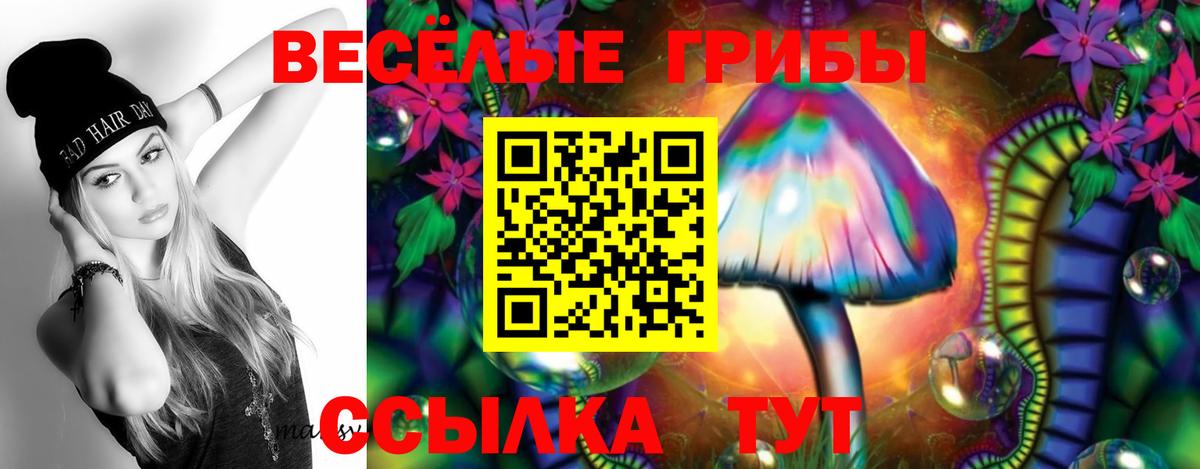 Псилоцибиновые грибы ЛСД Верхняя Пышма
